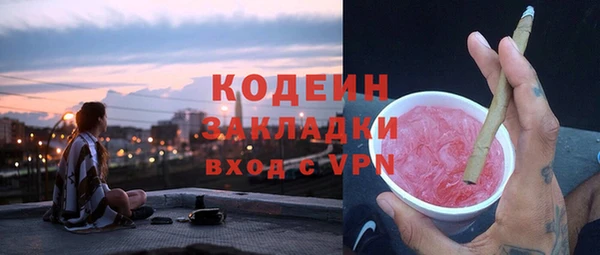 трава Арсеньев